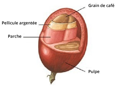 grain-cafe